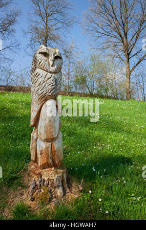 Chouette en bois, Heilbronn-Franconia Swabian-Franconian, Forêt, Heilbronn, Bade-Wurtemberg, Wüstenrot, Finsterrot Lake, Allemagne Banque D'Images