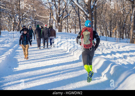 Montréal, CA - 1 janvier 2017 : Homme qui court sur le chemin d'Olmsted sur le mont Royal en hiver Banque D'Images