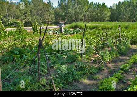 Fort Edmonton, Alberta, Canada, est un jardin de la dix-neuvième et au début du xxe siècle qui est devenue fort britannique de Edmonton Banque D'Images