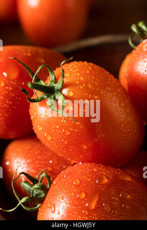 Matières organiques rouge les tomates Roma prête pour la cuisson Banque D'Images