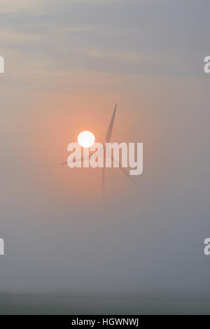 Usine éolienne dans le brouillard au lever du soleil, en Rhénanie du Nord-Westphalie, Allemagne Banque D'Images