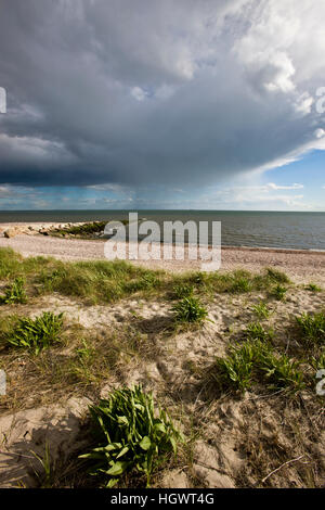 Averses de pluie dans la distance comme vu du Long Beach à Stratford (Connecticut). À côté de la grande unité de McKinney Meadows National Wildlife Refug Banque D'Images