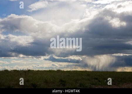 Averses de pluie dans la distance comme vu du Long Beach à Stratford (Connecticut). À côté de la grande unité de McKinney Meadows National Wildlife Refug Banque D'Images