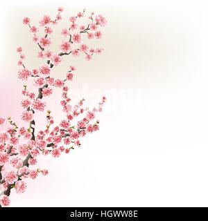 Blooming Cherry Blossom Branches carte. EPS 10 Illustration de Vecteur