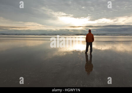 Ou02323-00...OREGON - Visiteur sur Canon plage au coucher du soleil. Banque D'Images