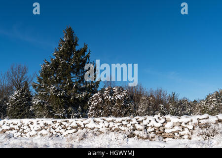 Paysage avec un grand sapin et un mur de pierre couvert de neige Banque D'Images