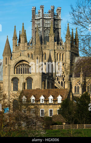 L'octogone, Cathédrale d'Ely, Cambridgeshire, Angleterre, RU Banque D'Images