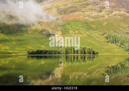 Pins reflète dans la Lande, Lake District, England, UK. Banque D'Images