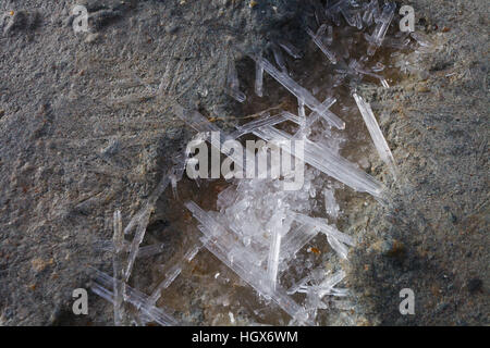 Des cristaux de sel sur la rive du lac Tso Kar, région du Ladakh du Jammu-et-Cachemire, l'Inde Banque D'Images