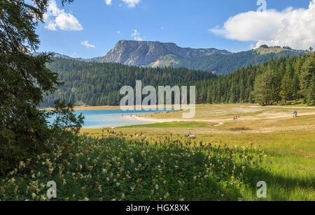 Vue sur le Lac Noir (Crno jezero) dans le parc national de Durmitor, Monténégro Banque D'Images