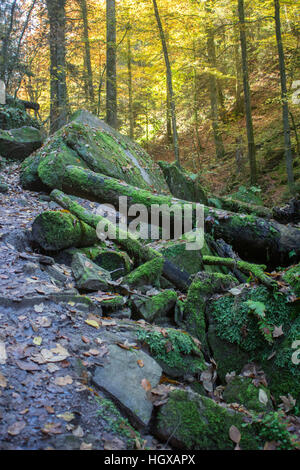 Horschbach Murrhardt, Gorge, Rems-Murr Région, Bade-Wurtemberg, Allemagne, Gorge Hörschbach Banque D'Images