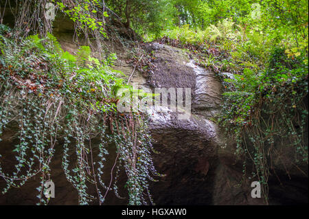 Tobelschlucht, Weymouth, Spiegelberg, Heilbronn-Franconia, Rems-Murr Région, Bade-Wurtemberg, Allemagne Banque D'Images