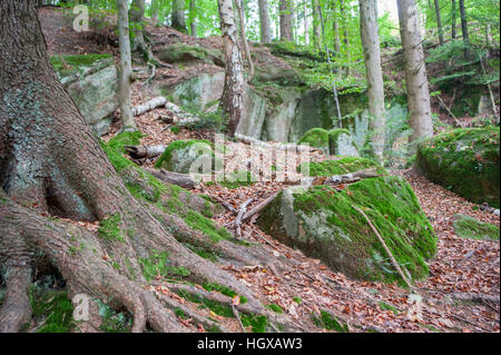 Tobelschlucht, Weymouth, Spiegelberg, Heilbronn-Franconia, Rems-Murr Région, Bade-Wurtemberg, Allemagne Banque D'Images