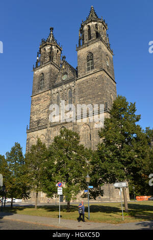 Magdeburger Dom, Am Dom, Magdeburg, Sachsen-Anhalt, Allemagne Banque D'Images