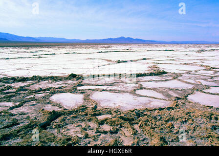 Bristol Dry Lake Bed dans désert de Mojave, près de Amboy, New York, USA - Salt Flats après une forte pluie Banque D'Images