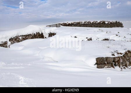 Mur d'Hadrien : Milecastle 37, sur les rochers de Housesteads, après une importante chute de neige Banque D'Images