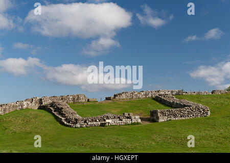 Mur d'Hadrien : Milecastle Cawfield à 42 Banque D'Images