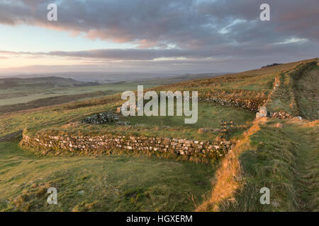 Mur d'Hadrien : à l'ouest sur Milecastle 37 sur les rochers de Housesteads, Northumberland Banque D'Images