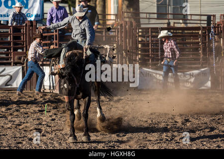 Saddle Bronc riding. Brash Rodeo Finale. Sept 10, 2016. Columbia Falls, Montana, USA Banque D'Images