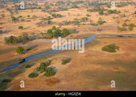 Delta de l'Okavango au Botswana, la saison sèche Banque D'Images