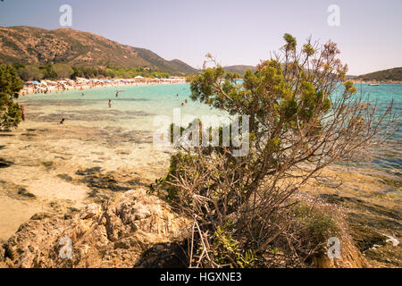 Tuerredda est considérée comme une des plus belles plages de la Sardaigne pour son sable blanc et la couleur claire de la mer. Banque D'Images