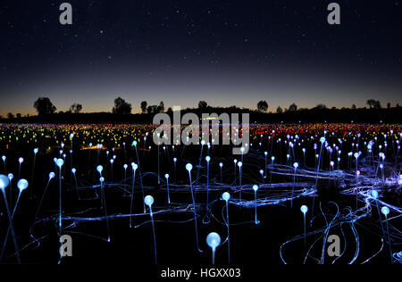 Ayers Rock, Australie - 15 avril, 2016 : domaine de la lumière, une installation de l'artiste Bruce Munro dans le désert autour d'Uluru, Australie Banque D'Images