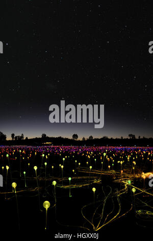 Domaine de la lumière, une installation de l'artiste Bruce Munro dans le désert autour d'Uluru, Australie Banque D'Images