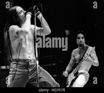 Red Hot Chili Peppers Band Anthony Kiedis (à gauche) et Dave Navarro (à droite) en concert à grands bois, Mansfield Ma USA 1992 photo de Bill belknap Banque D'Images