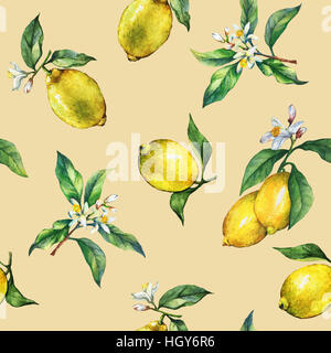 Le modèle logique des branches d'agrumes frais citrons avec des feuilles vertes et des fleurs. De l'aquarelle à la main Banque D'Images