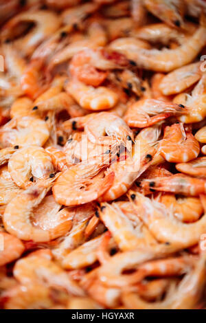 Crevettes crues fraîches sur l'affichage sur la glace sur le marché boutique boutique des pêcheurs. Crevettes - une partie importante de la cuisine espagnole. La texture, l'arrière-plan Banque D'Images