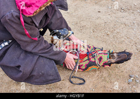 La Mongolie, Bayan Olgii, kazakh, Eagle eagle hunter chasse, golden eagle Banque D'Images