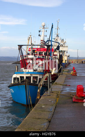 Les chalutiers amarrés à quai dans l'Eisenhower petit port à Bangor Northern Ireland à l'abri de leur une féroce tempête en mer d'Irlande Banque D'Images