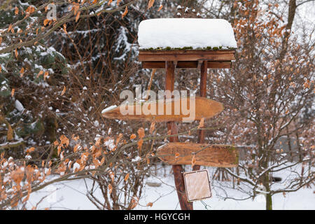 Dans le vide en bois jardin d'hiver avec de la neige fraîche Banque D'Images
