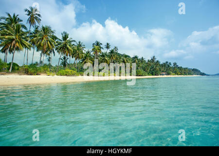 Plage tropicale et de cocotiers à Koh Samui, Thaïlande Banque D'Images