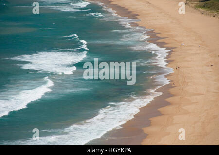 Palm Beach, banlieue nord de Sydney, Australie Banque D'Images