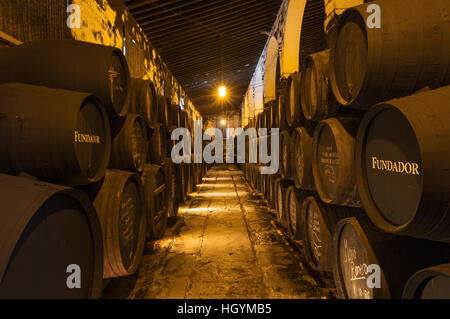 Fûts de chêne empilés dans la cave à vin, Fundador Bodega Pedro Domecq, Jerez de la Frontera, province de Cadiz, Andalousie Banque D'Images