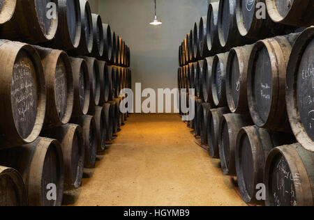 Fûts de chêne empilés dans une cave à vin, Bodega, Gonzalez Byass Jerez de la Frontera, province de Cadiz, Andalousie, Espagne Banque D'Images