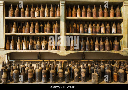 Exposition avec couvertes de poussière de vieilles bouteilles de sherry, Bodega, Gonzalez Byass Jerez de la Frontera, province de Cadiz, Andalousie Banque D'Images