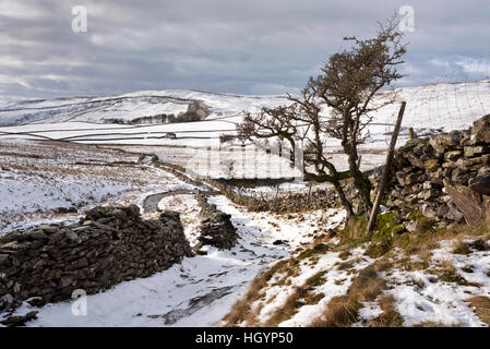 Vieille piste en Crummack Dale, Austwick, Yorkshire du Nord, Yorkshire Dales National Park,UK Banque D'Images