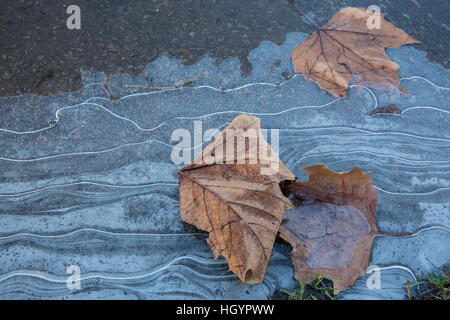 Windsor, Royaume-Uni. 13 janvier, 2017. Des modèles dans la glace à Windsor dans le Berkshire. Credit : Mark Kerrison/Alamy Live News Banque D'Images