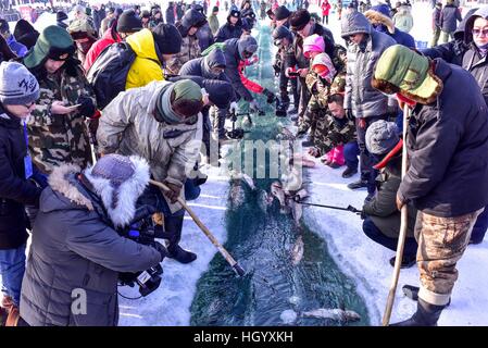 Fuhai, la Région Autonome Uygur du Xinjiang. 14 Jan, 2017. Les pêcheurs tirer dans un filet à la Ulunggur dans le lac Fuhai County, nord-ouest de la Chine, la Région autonome du Xinjiang Uygur, 14 janvier 2017. © Jiang Wenyao/Xinhua/Alamy Live News Banque D'Images