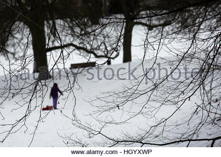 La Bavière. 14 Jan, 2017. Un flou figure l'extraction d'un taboggan jusqu'à une colline en Bavière est photographié par le branches d'un arbre sans feuilles comme le temps continue d'être très froid © reallifephotos/Alamy Live News Banque D'Images