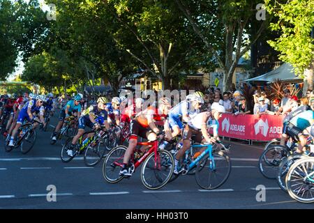 Adélaïde, Australie du Sud, Australie. 14 Jan, 2017. Peloton de course, People's Choice Classic tour 22, 50.6km street race circuit comme chauffer pendant le Tour Down Under, en Australie le 15 janvier 2017 Credit : Gary Francis/ZUMA/Alamy Fil Live News Banque D'Images