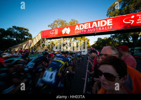 Adélaïde, Australie du Sud, Australie. 14 Jan, 2017. Peloton de course, People's Choice Classic tour 22, 50.6km street race circuit comme chauffer pendant le Tour Down Under, en Australie le 15 janvier 2017 Credit : Gary Francis/ZUMA/Alamy Fil Live News Banque D'Images