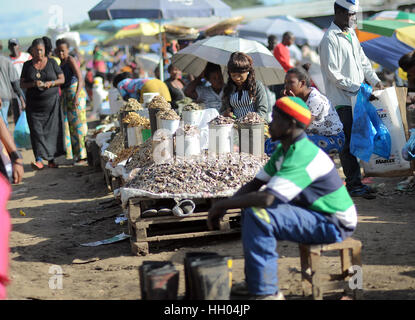 Vue sur le marché de Soweto près du complexe d'Kanyama à Lusaka, Zambie, 11 mars 2016. Le marché est ouvert tous les jours. - Pas de service de fil - Photo : Britta Pedersen/dpa-Zentralbild/ZB Banque D'Images