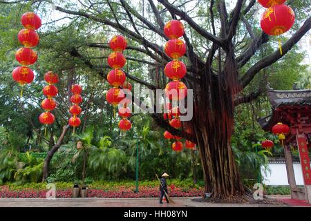 Splendid China Folk : un bel arbre, lanternes rouges suspendues à ses branches, un travailleur de balayage permanent sous la pluie. Banque D'Images