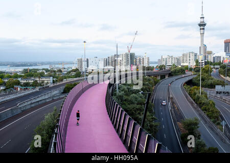 La piste cyclable de la rue Nelson reliant la haute Reine Street Bridge et Quay Street à Auckland, en Nouvelle-Zélande. Banque D'Images