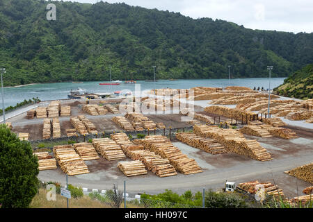 Un chantier de bois à Picton, Nouvelle-Zélande. Banque D'Images