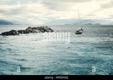 Bateau à voile en passant par la colonie de lions de mer, Ushuaia, Tierra del Fuego, Patagonie, Argentine, Amérique du Sud Banque D'Images