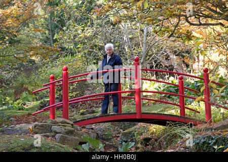 Senior woman crossing chinois rouge pied pont sur stream Batsford Arboretum Cotswolds UK Banque D'Images